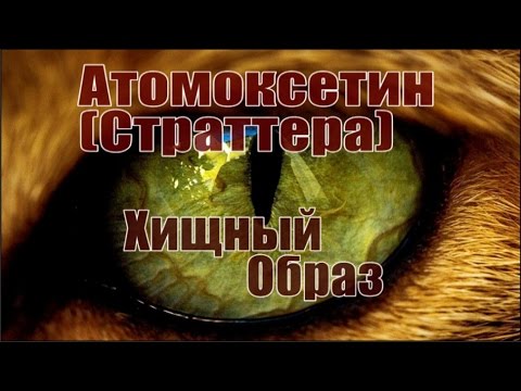 Видео о препарате Страттера (Strattera) капсулы 40мг 28шт